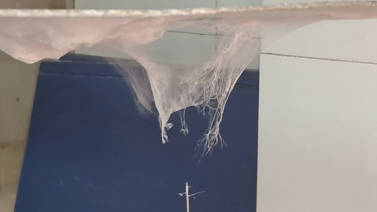 Electrospinning: Solutions of Polystyrene and Polyvinylidene Difluoride in Dimethylformamide